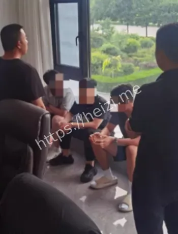 网安多地收网细节