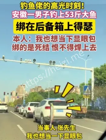 安徽铜陵大鱼后备箱