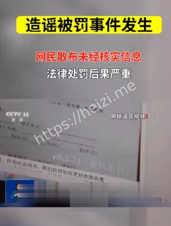 安徽临泉造谣处罚