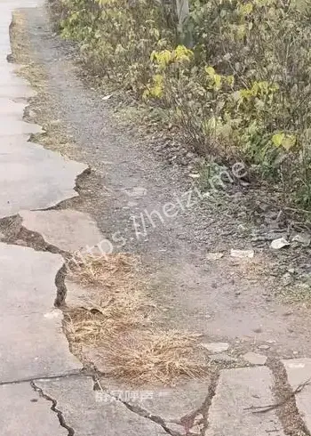 通江县永安镇县道开裂